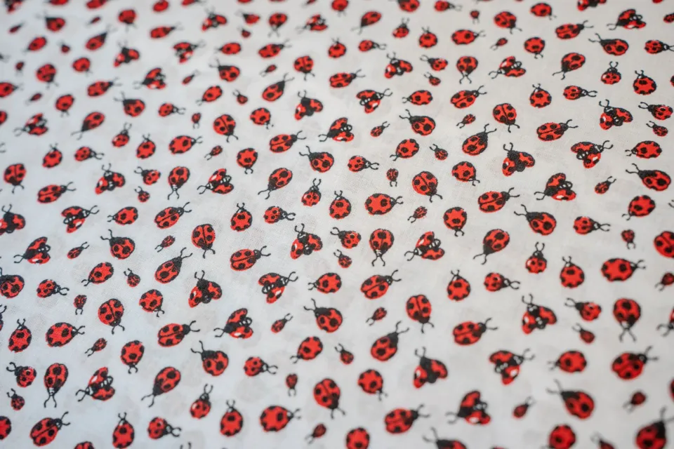 Cotone Bimbo Fantasia Coccinella