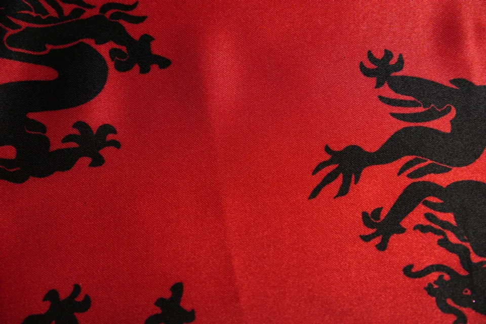 Raso 100% PL h. 150 Drago Rosso
