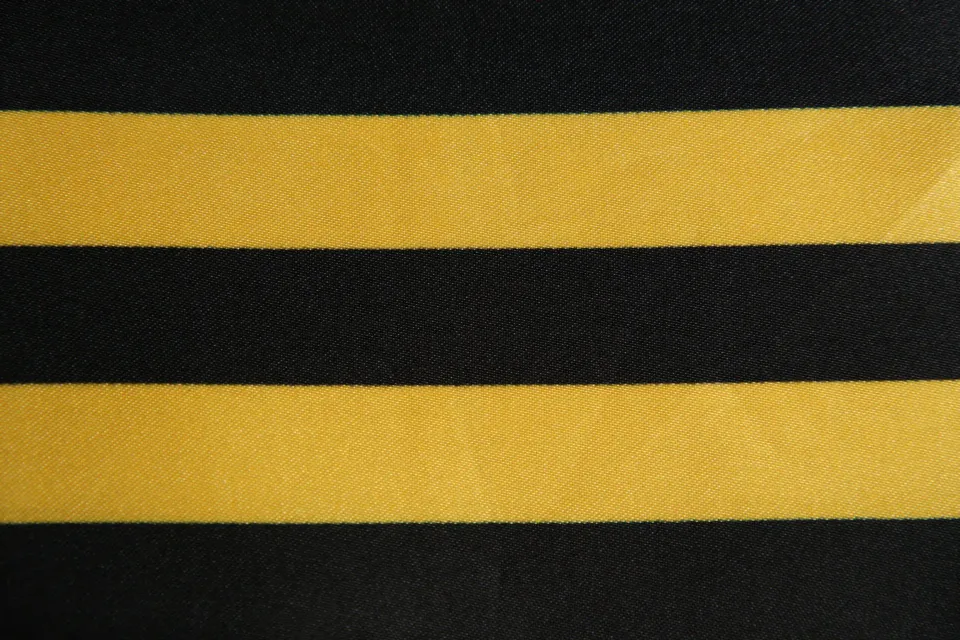 Raso 100% PL h. 150 Riga Giallo Nero