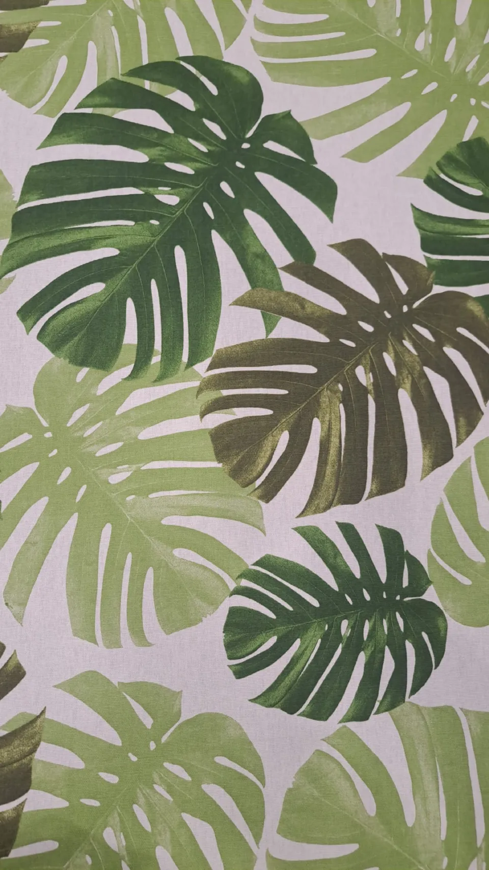 Tessuto Resinato Foglie Monstera Verde h.140