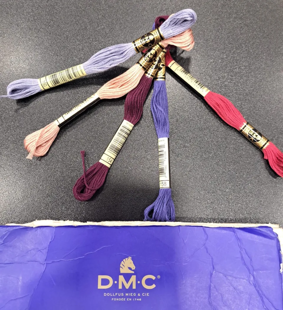 Matassa Mouliné DMC da Ricamo 8 m