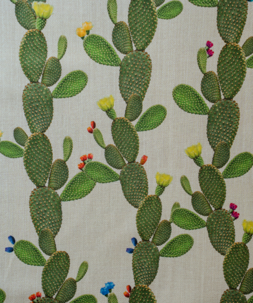 Cotone Ficodindia h. 280